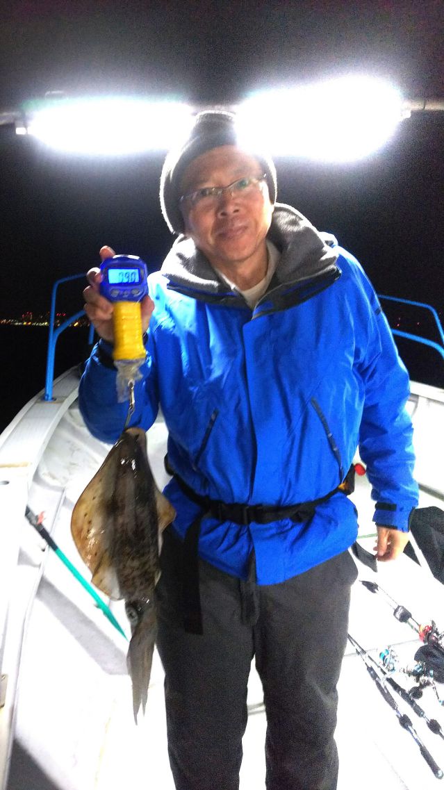 半夜アオリの画像