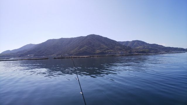 カレイ筏渡しの画像